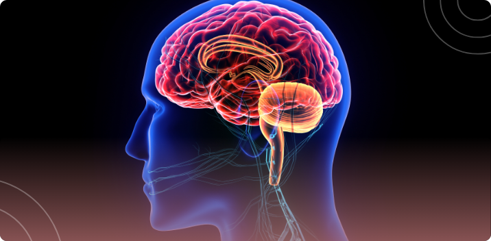 A Guide to 3D qEEG Brain Mapping in Los Angeles, CA